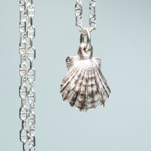 Load image into Gallery viewer, close up of small lions paw scallop shell necklace in polished sterling silver with anchor chain by hkm jewelry
