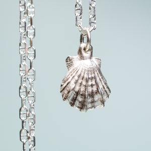 close up of small lions paw scallop shell necklace in polished sterling silver with anchor chain by hkm jewelry