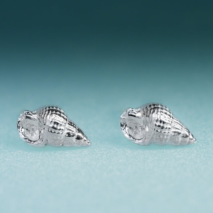 Cast silver Threeline Mudsnail Studs - Mini Silver Nassa Shell Earrings by Hali MacLaren of HKM Jewelry