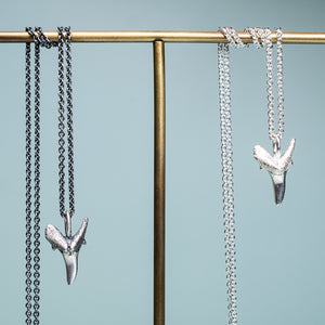 cast sterling silver fossilized sand tiger shark tooth necklaces on cable chain by hkm jewelry