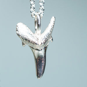 cast polished sterling silver fossilized sand tiger shark tooth on cable chain by hkm jewelry