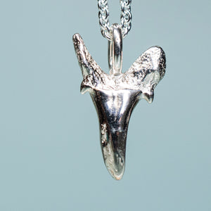 back view of cast sterling silver fossilized sand tiger shark tooth on cable chain by hkm jewelry