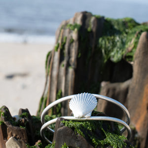 cast silver bay scallop shell cuff laying on driftwood by the shoreline in cape may by hkm jewelry hali maclaren
