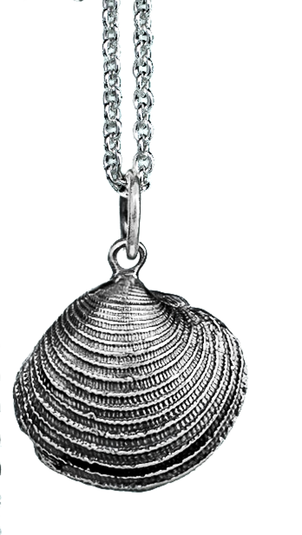 silver cast venus clam shell necklace oxidized finish by hkm jewelry